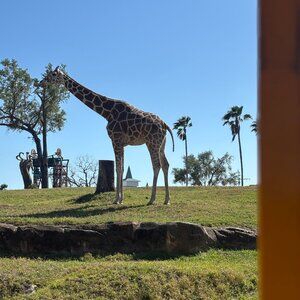 Meet your Posher, Carine